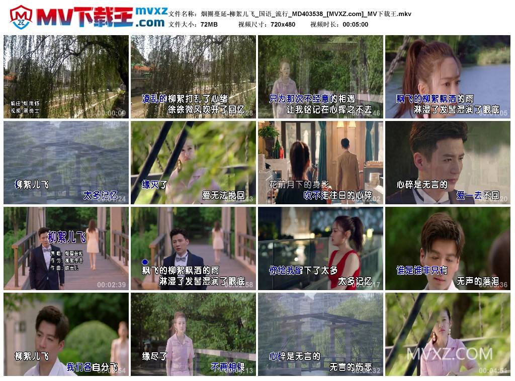 烟圈蔓延-柳絮儿飞_国语_流行_MD403538